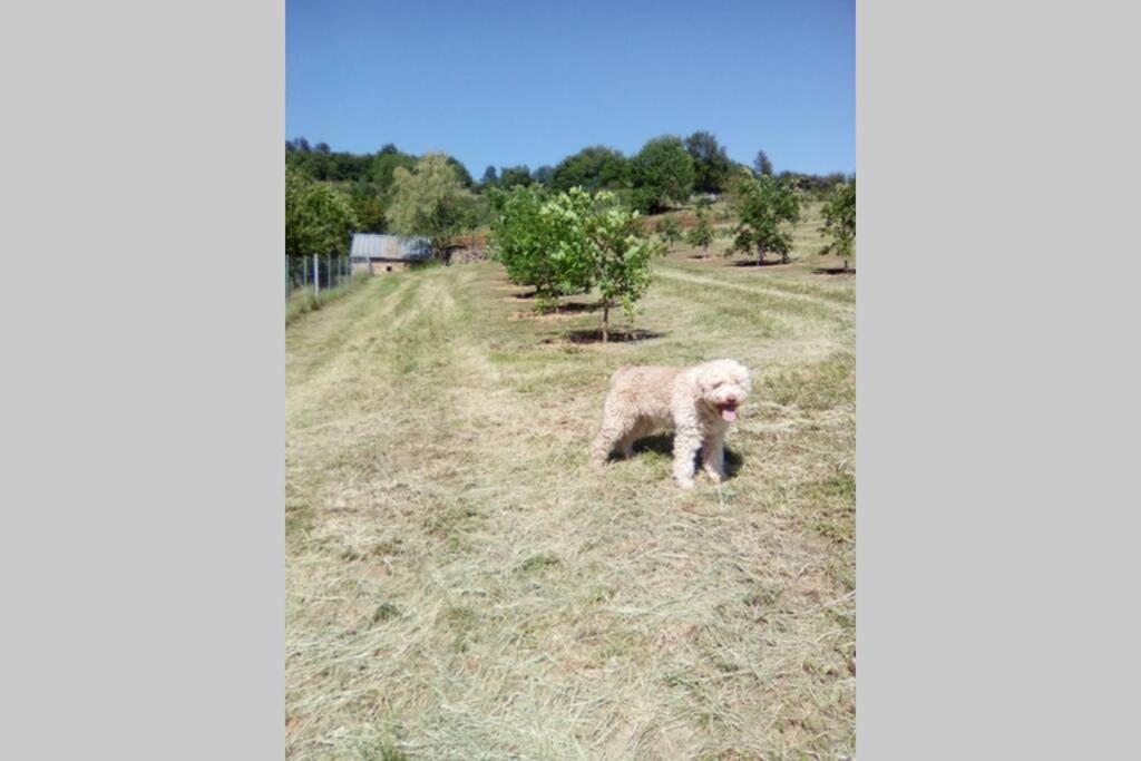 La Truffiere Villa Castelnau-de-Mandailles Kültér fotó